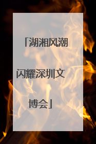湖湘风潮闪耀深圳文博会